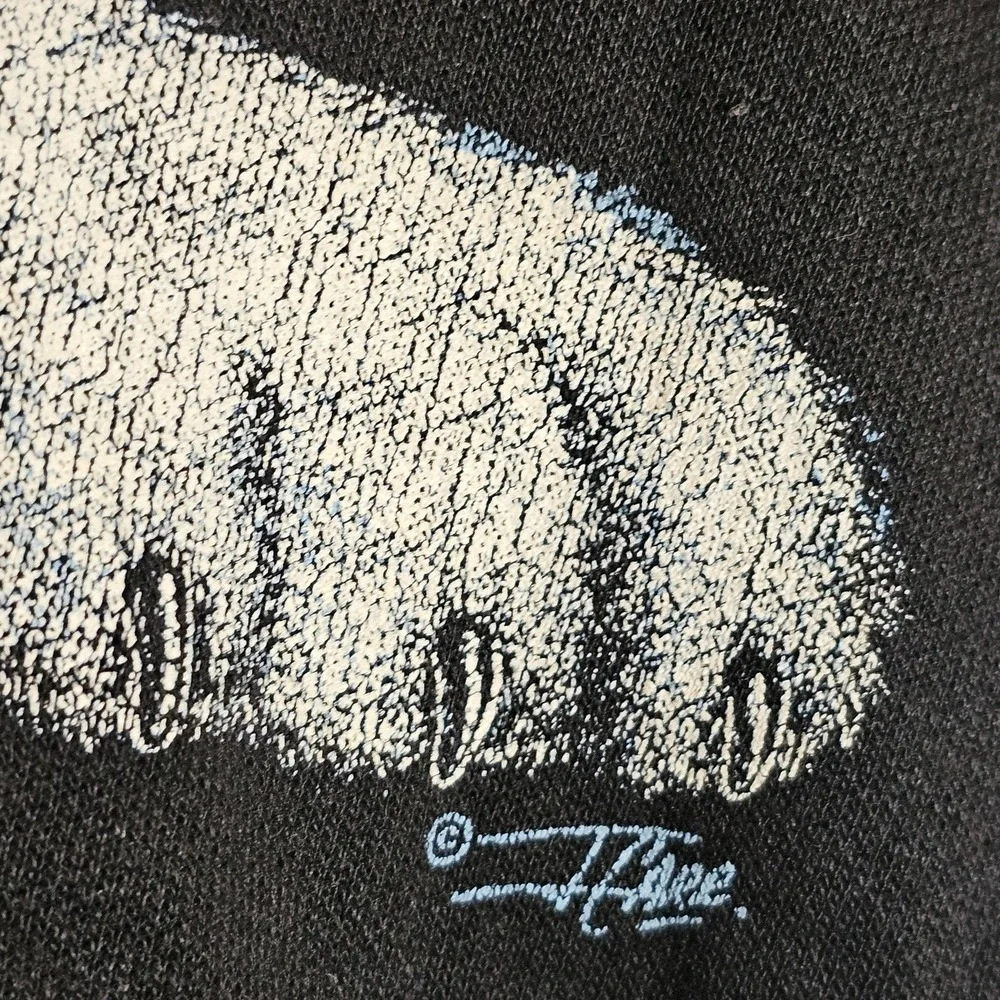 Vintage Kittens Shirt Womens Large Tiger Cub Graphic Long Sleeve 90s USA